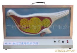 广州市翔达教学仪器 医药教学器材与教学演示用品产品列表